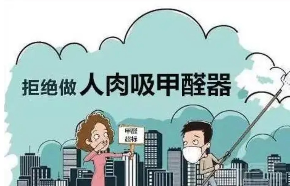 家里刚装修好，放什么东西能吸甲醛？