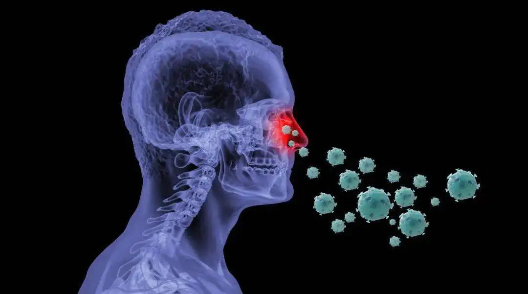 鼻病毒感染是什么引起的，日常消毒杀菌有用吗？