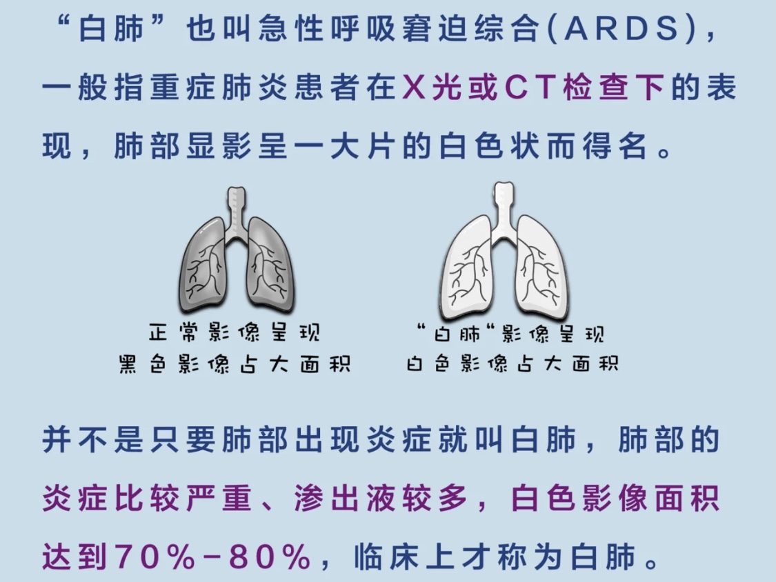 白肺是什么？